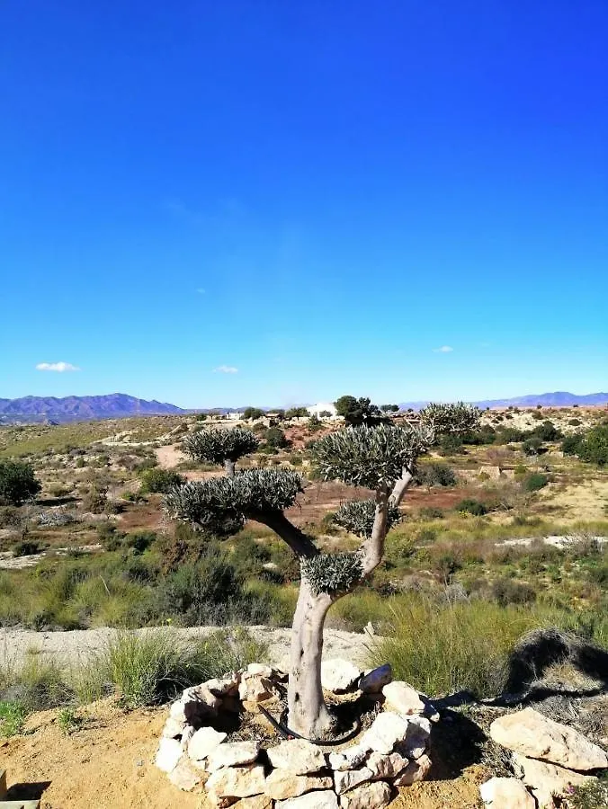 Ca'Lila Guest House Pulpi Spain
